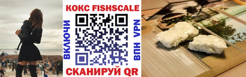 КОКАИН Fish Scale  Купить закладки  Горно-Алтайск 