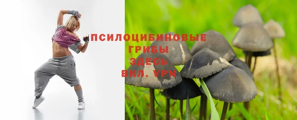 прущая мука Бородино