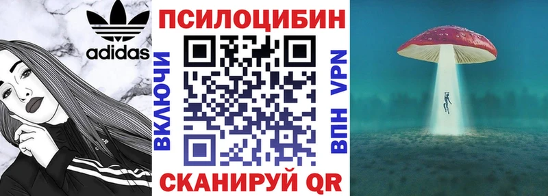 Купить  Горно-Алтайск  Псилоцибиновые грибы Magic Shrooms 